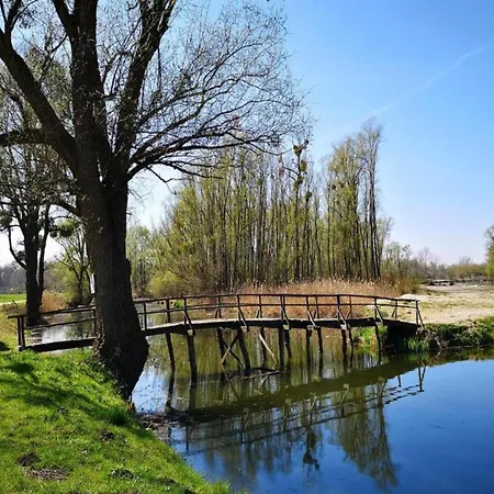 Villa In Deklici With Infinity Pool & Sea Views