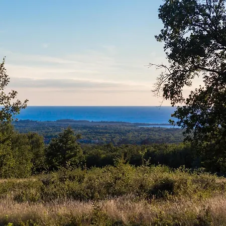 In Deklici With Infinity Pool & Sea Views Kaštelir