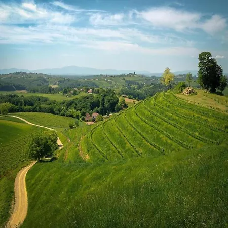 In Deklici With Infinity Pool & Sea Views
