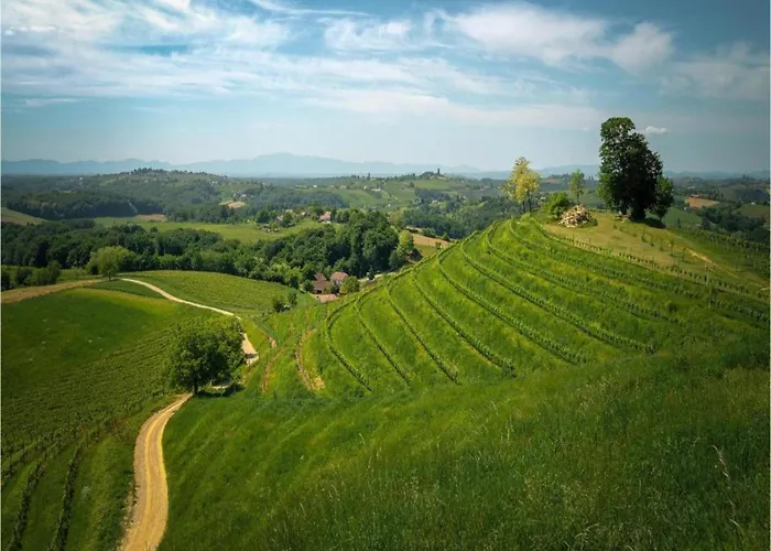 In Deklici With Infinity Pool & Sea Views
